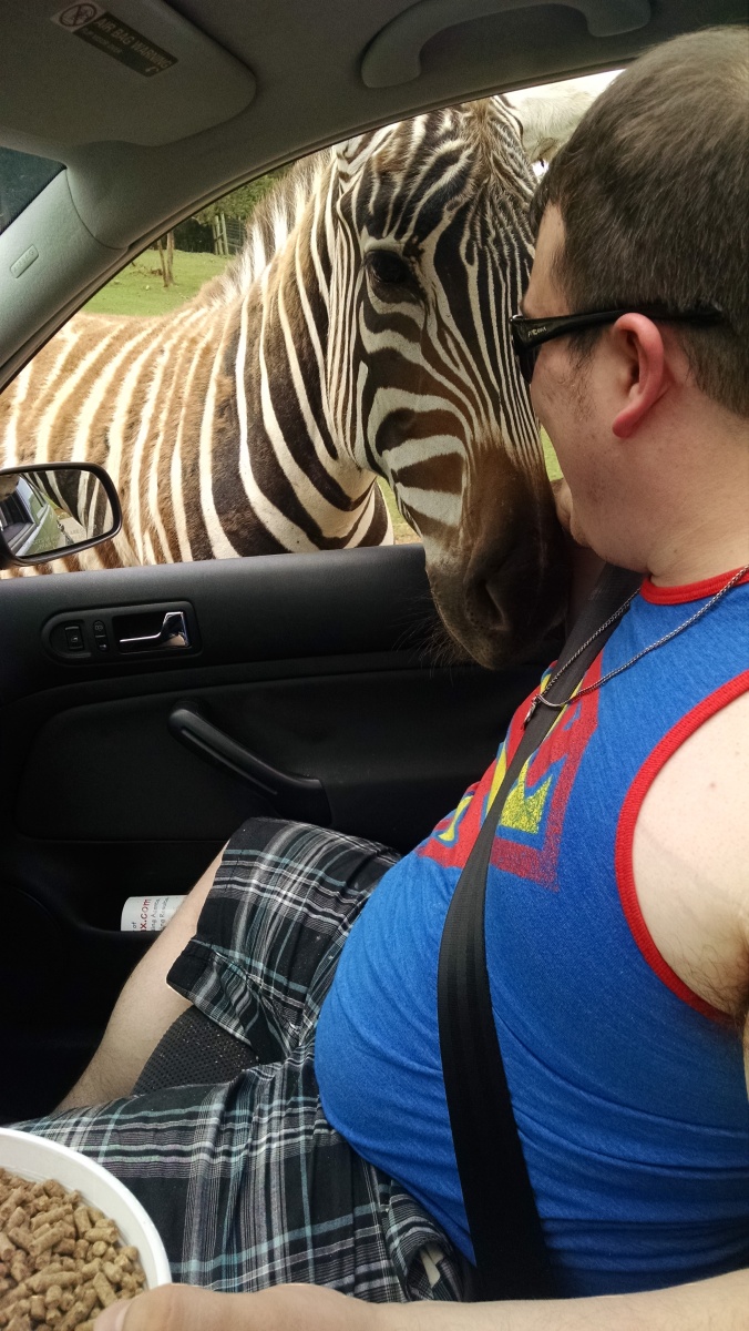 Getting up close and personal with a Zebra!